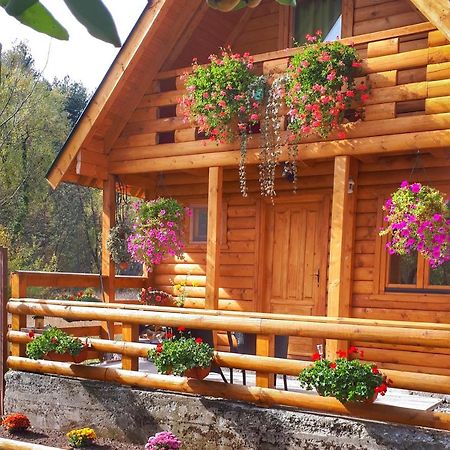 Brvnara Borovik Vila Cetinje Exterior foto