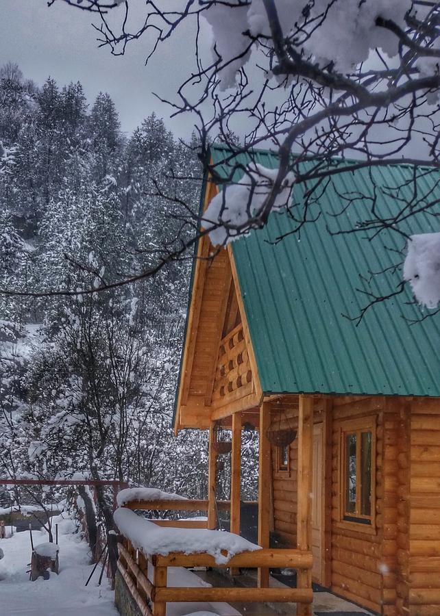 Brvnara Borovik Vila Cetinje Exterior foto