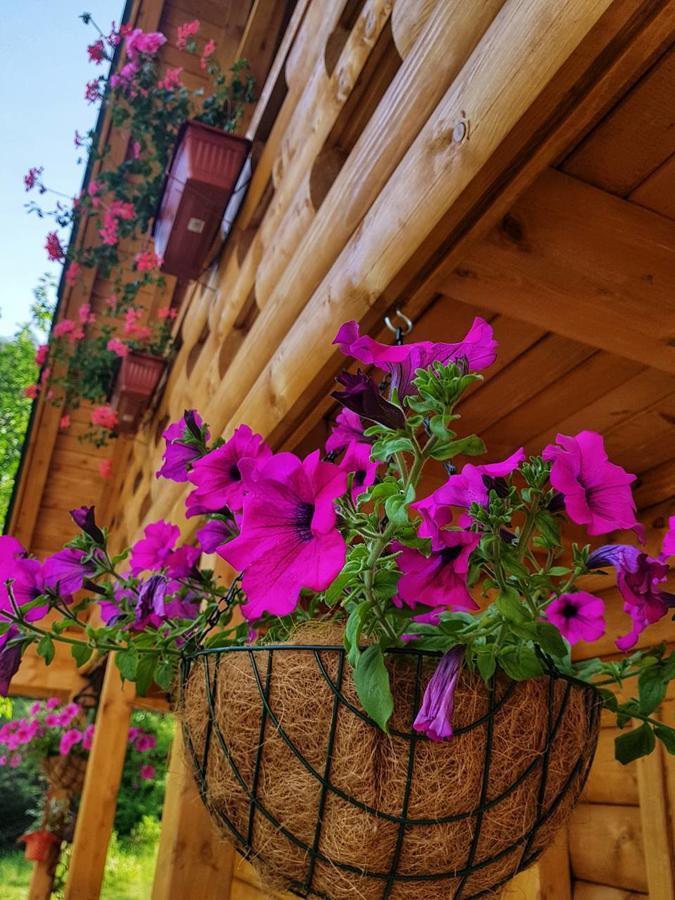 Brvnara Borovik Vila Cetinje Exterior foto