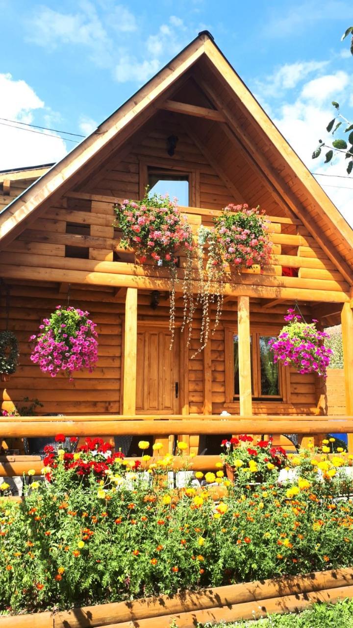 Brvnara Borovik Vila Cetinje Exterior foto