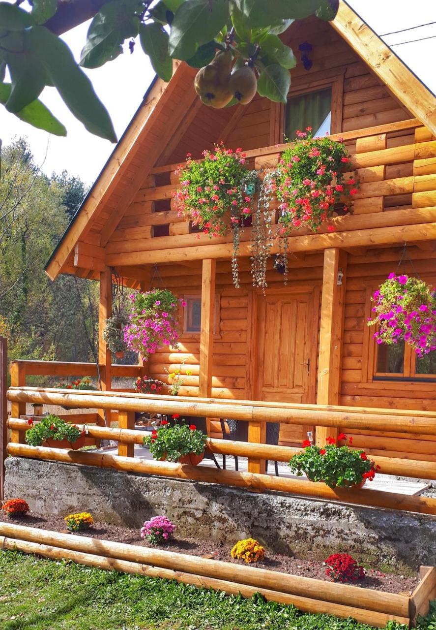 Brvnara Borovik Vila Cetinje Exterior foto